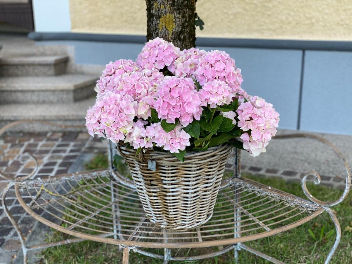 Almtalhotel Appartements In Pettenbach ภายนอก รูปภาพ